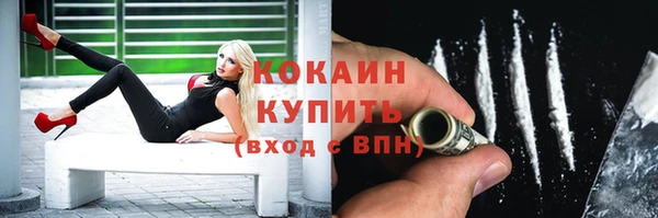 стаф Зеленокумск