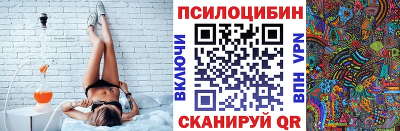 закладки  Рыбинск  Псилоцибиновые грибы мицелий 